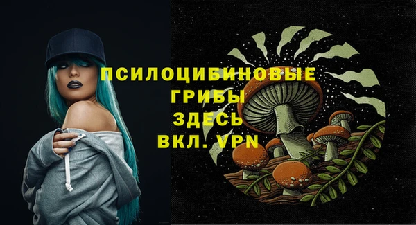 гашик Балабаново