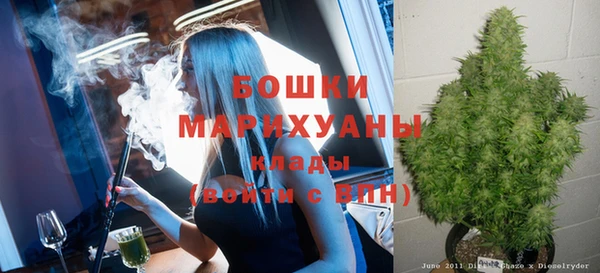винт Белокуриха