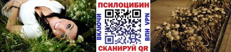 Псилоцибиновые грибы мухоморы  купить   Невель 